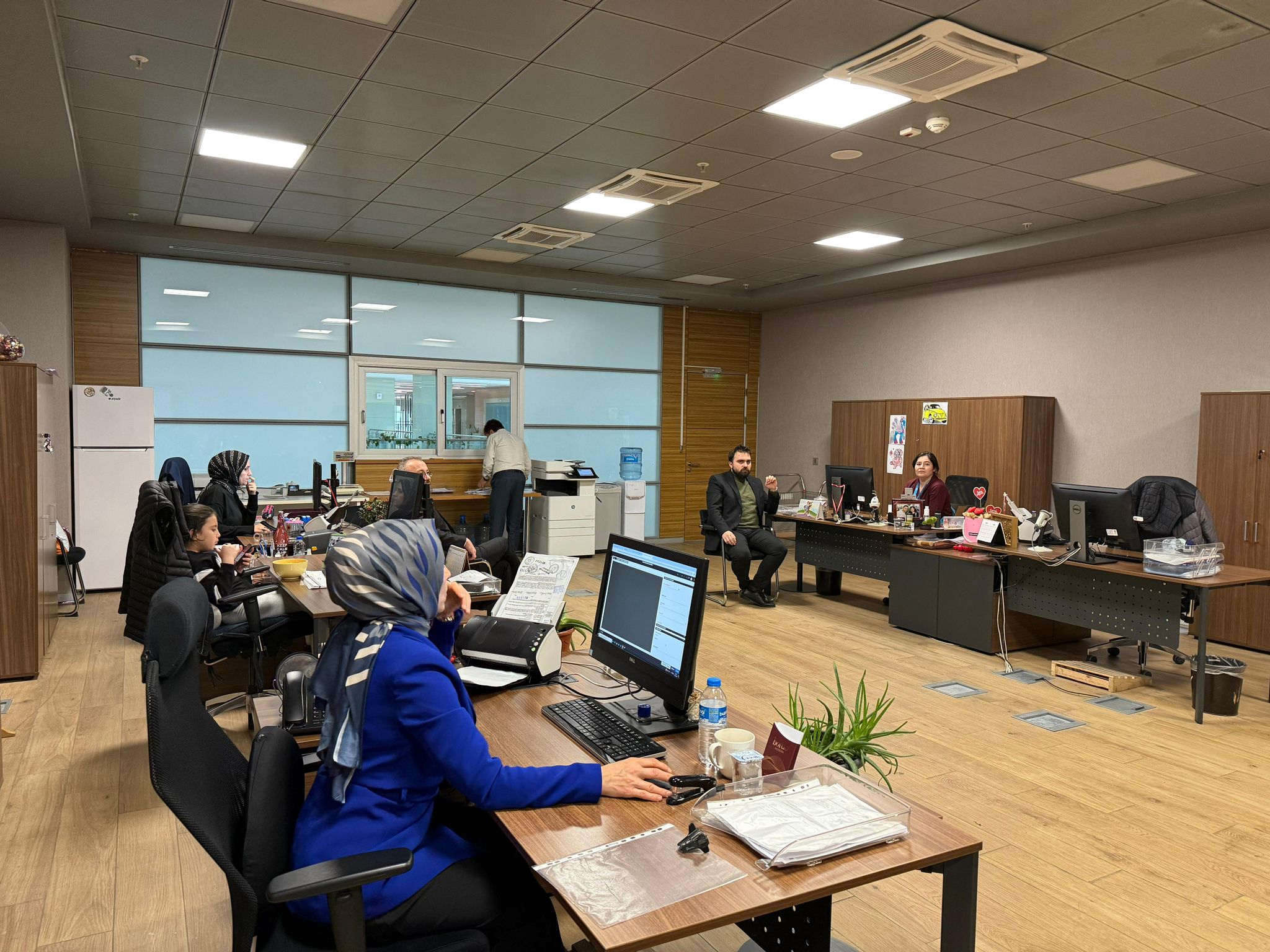 WhatsApp Image 2025-01-28 at 13-18-18