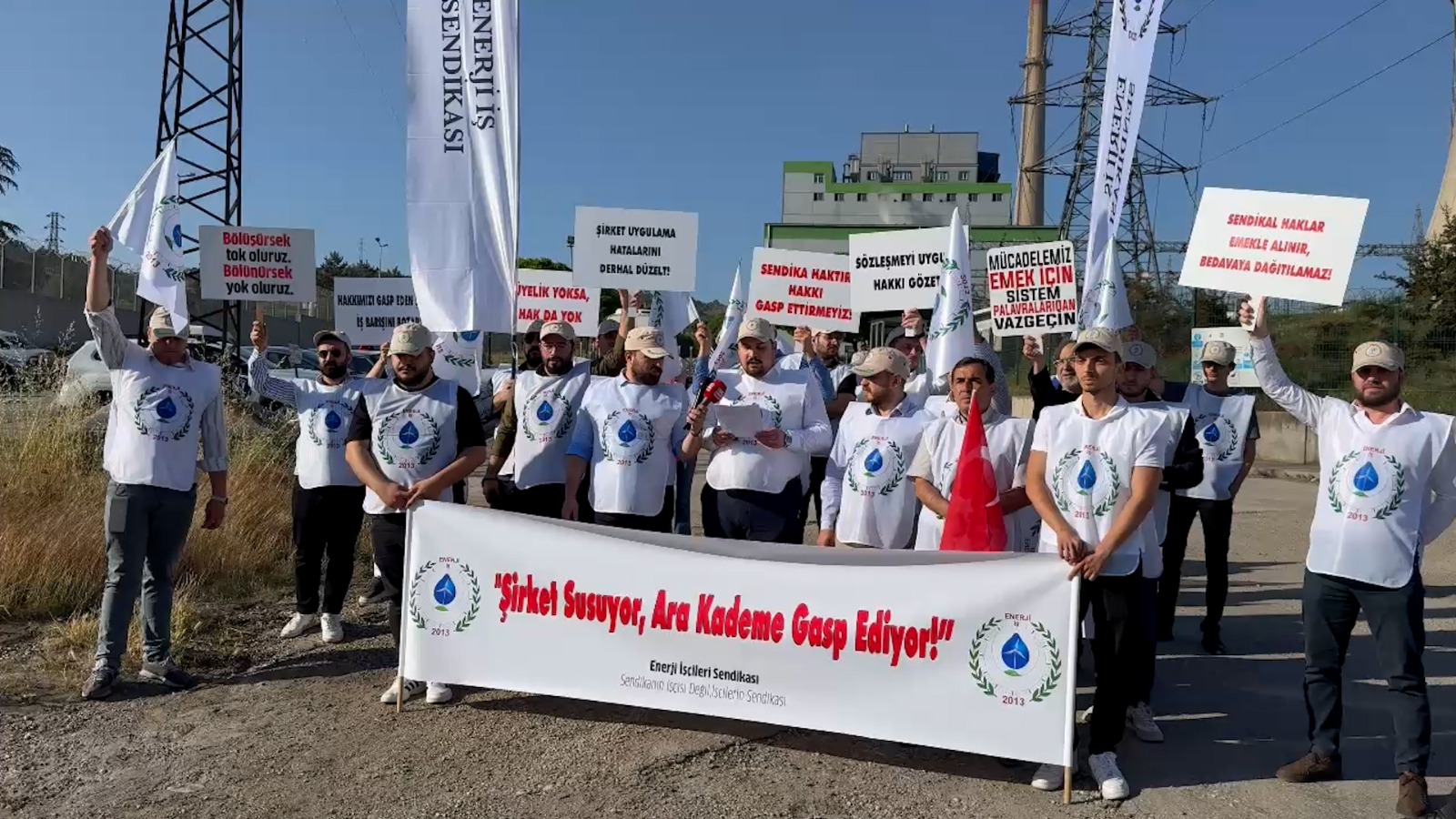 WhatsApp Image 2025-06-18 at 10-24-06