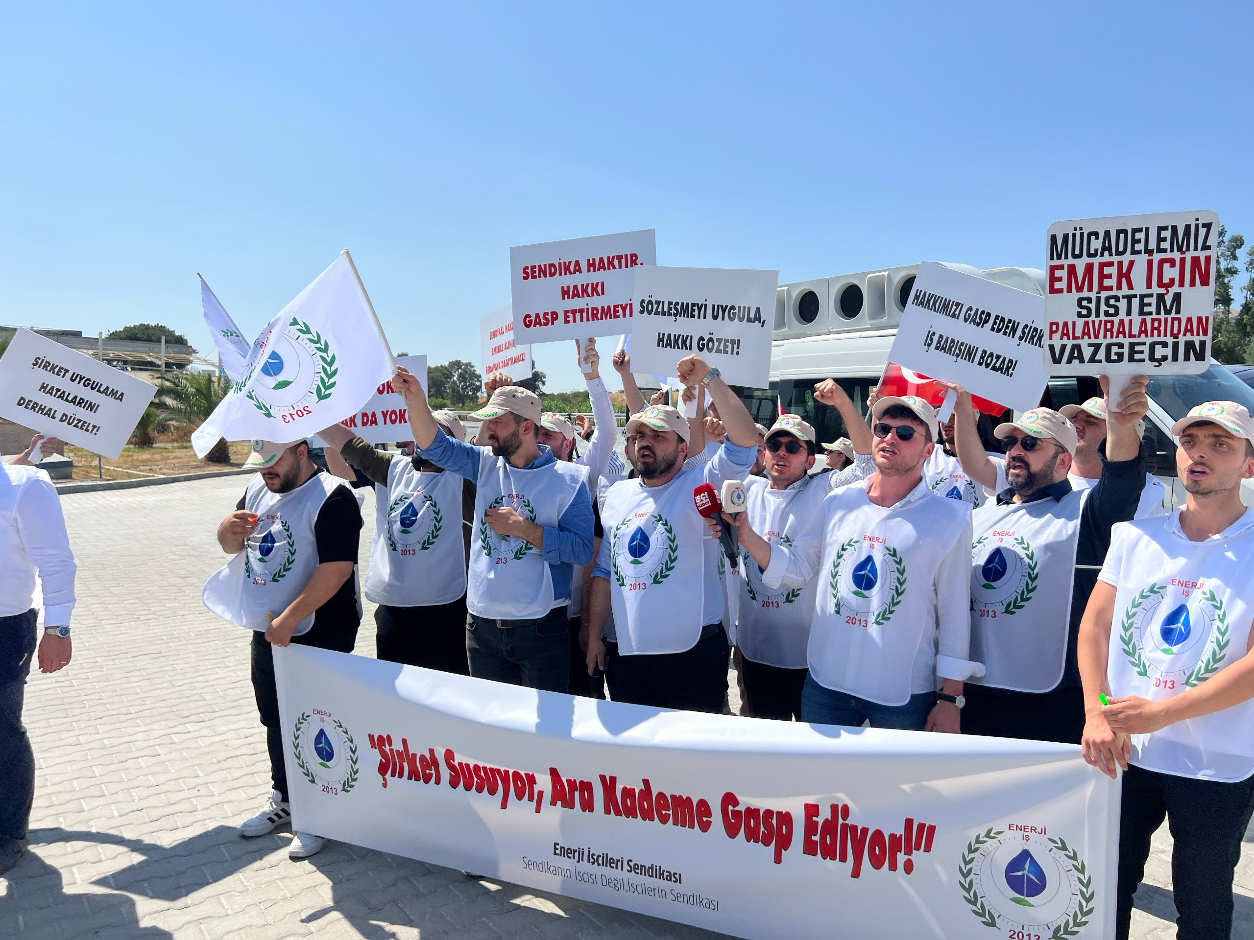 WhatsApp Image 2025-06-18 at 16-55-58