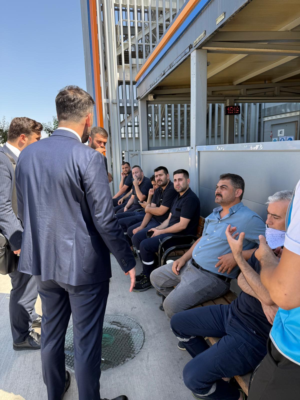 WhatsApp Image 2025-06-25 at 16-47-57