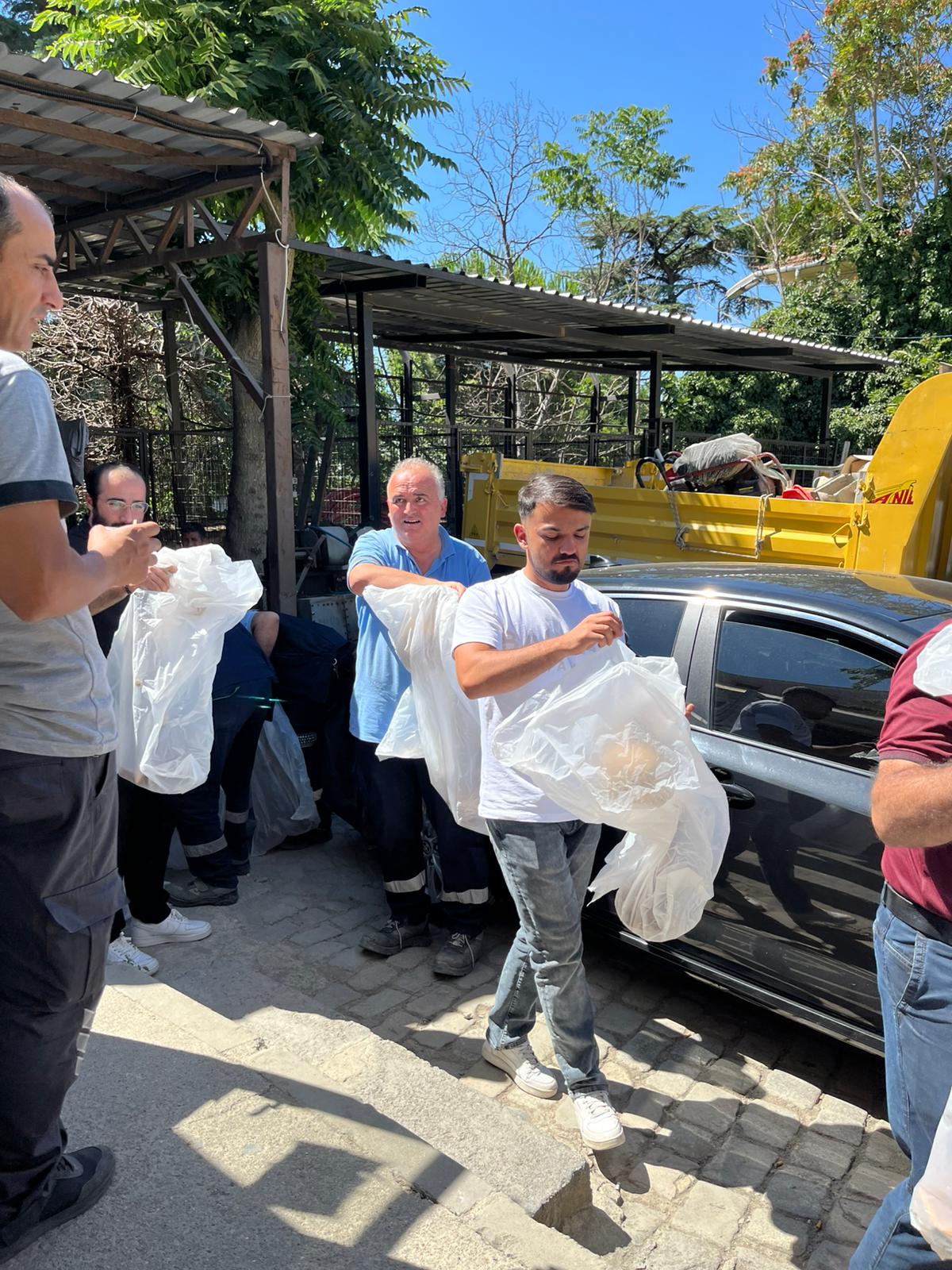 WhatsApp Image 2025-07-21 at 13-34-17